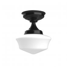 Montclair Light Works FMA021-41 - 12" Schoolhouse glass, flush mount ceiling light, Black