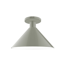 Montclair Light Works FMDX466-24 - 12" Chase Flush Mount, Moss Green