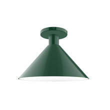 Montclair Light Works FMDX466-42 - 12" Chase Flush Mount, Forest Green