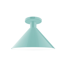 Montclair Light Works FMDX466-48 - 12" Chase Flush Mount, Sea Green