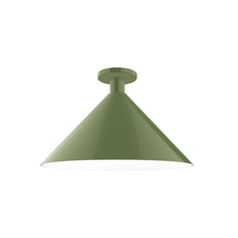 Montclair Light Works FMDX467-22 - 18" Chase Flush Mount, Fern Green