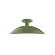 Montclair Light Works FMDX476-22 - 16" Glow Flush Mount, Fern Green