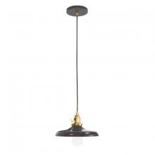Montclair Light Works PEB401-51-91 - Uno 10" Pendant,  Architectural Bronze with Brushed Brass hardware