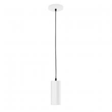 Montclair Light Works PEB418-44 - 3.5" Jordan shade, black cord with canopy, White