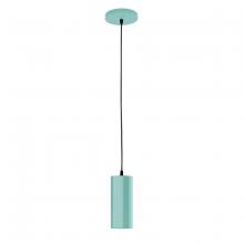 Montclair Light Works PEB418-48-C21 - 3.5" Jordan shade, white cord with canopy, Sea Green