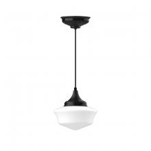Montclair Light Works PEF021-41 - 12" Schoolhouse glass, black cord with canopy, Black