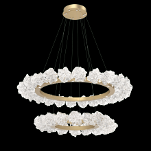 Hammerton CHB0059-2B-NB-BC-CA1-L1 - Blossom Two-Tier Ring