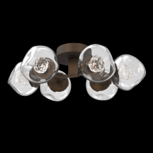 Hammerton CLB0095-01-FB-FC-L1 - Luna Flush Mount - 6pc
