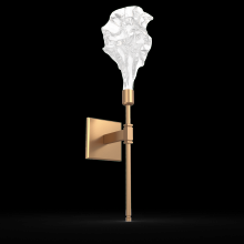 Hammerton IDB0059-21-CS-BC-L1 - Blossom Belvedere Sconce